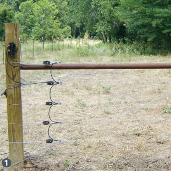 Strainer Post 2022 image