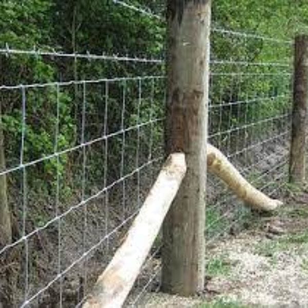 Electric Fence Support Post 2.5M image