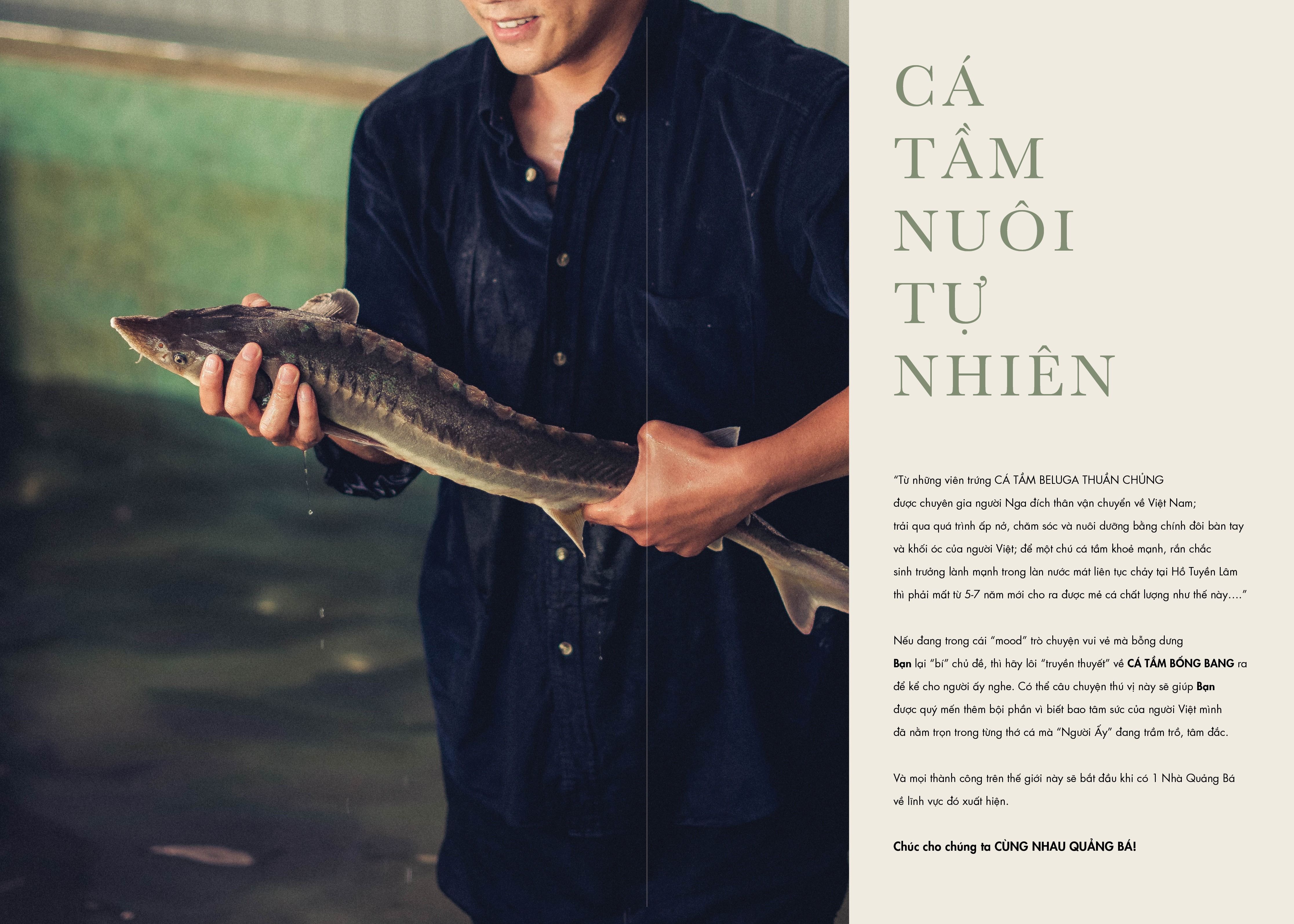 Cá Tầm image 1