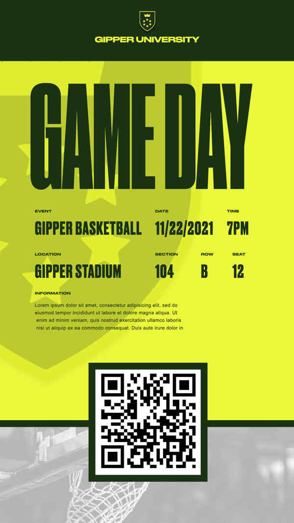 BasketFever Ticket Zone