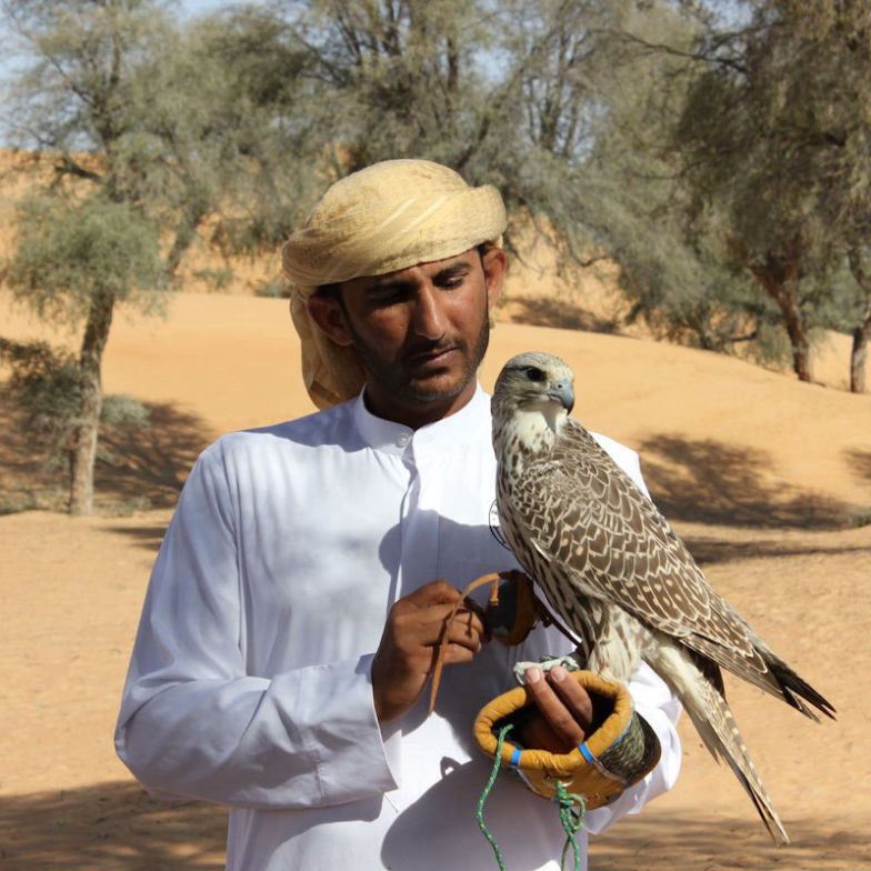 رحلات السفاري الصحراوية الصباحية: تجربة ركوب الدراجات الرباعية والتزلج على الرمال وركوب الجمال 3