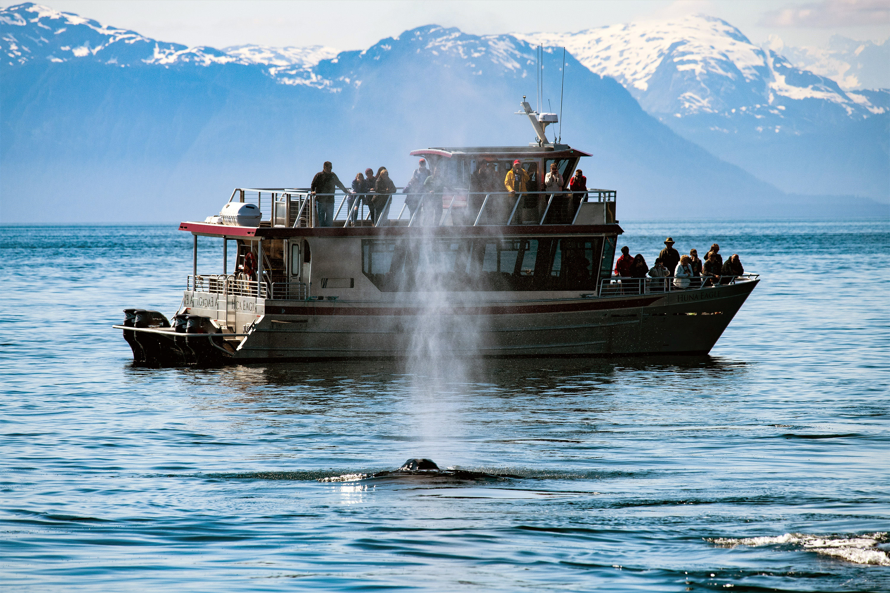 Whale-watching boat with a whale surfacing