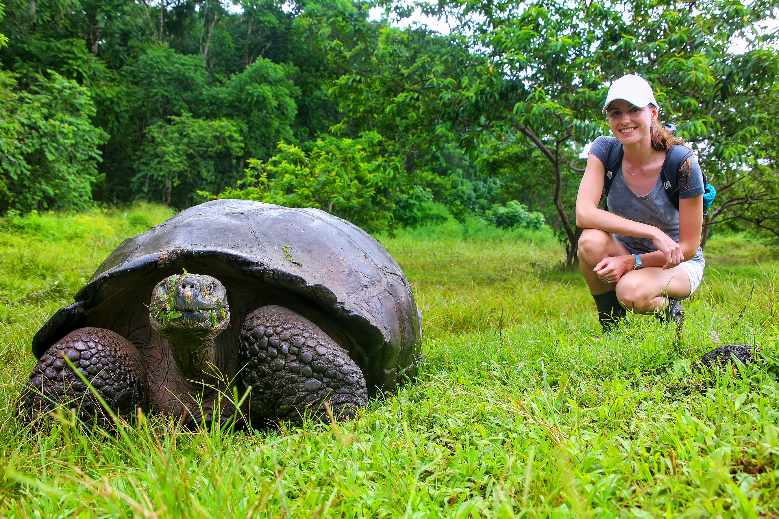 Galapagos giant tortoise and tourist