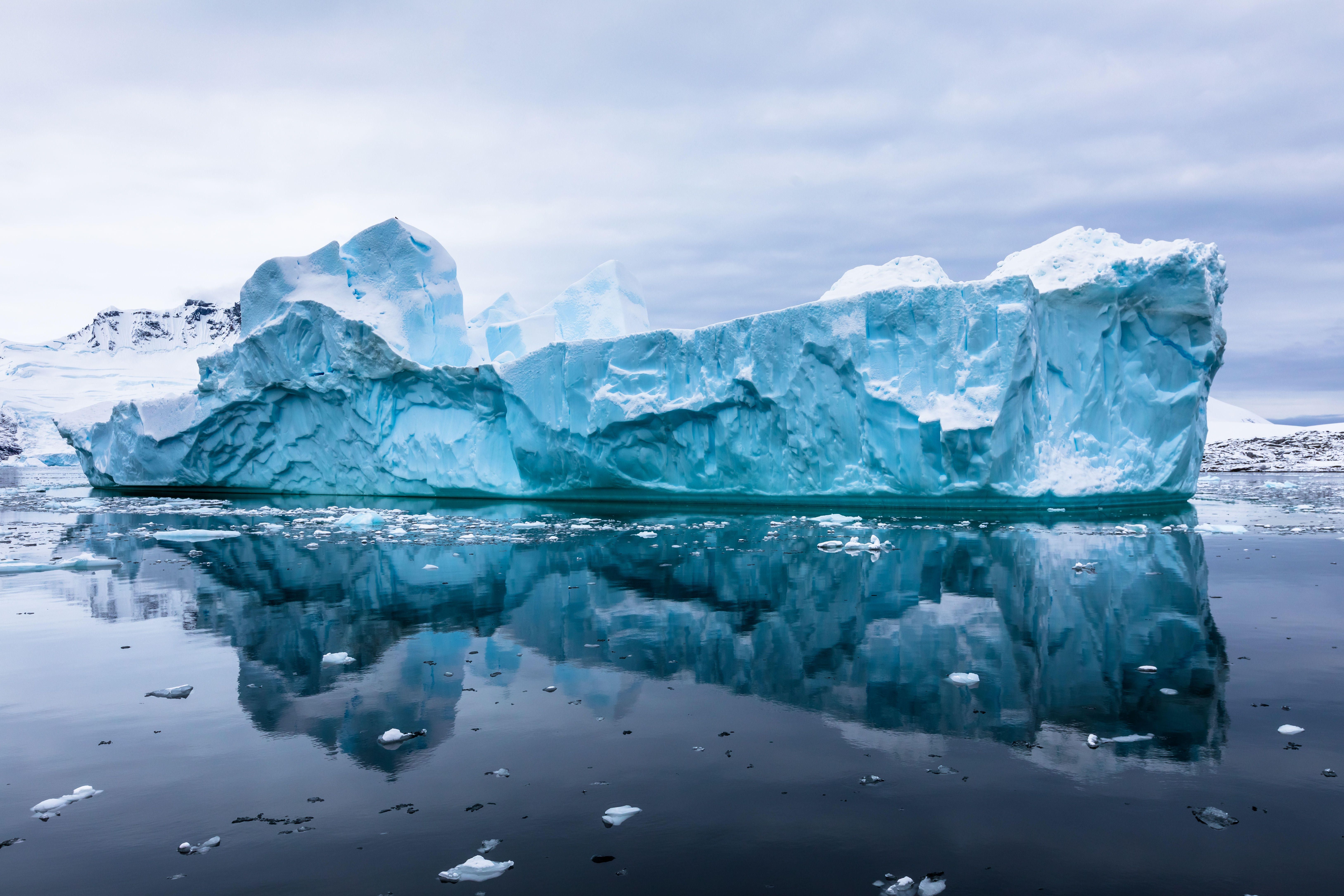 Iceberg