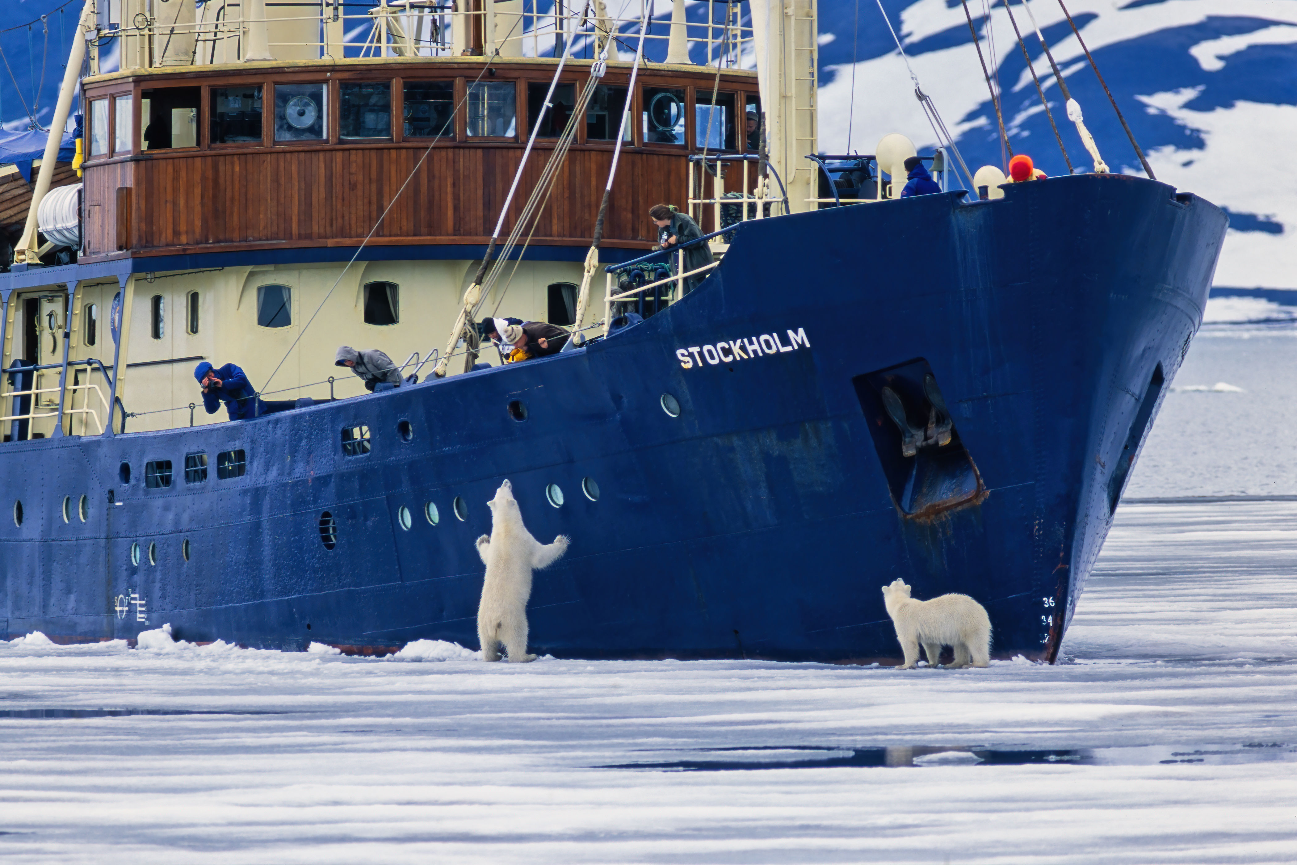 Two polar bears in front of an ice ship