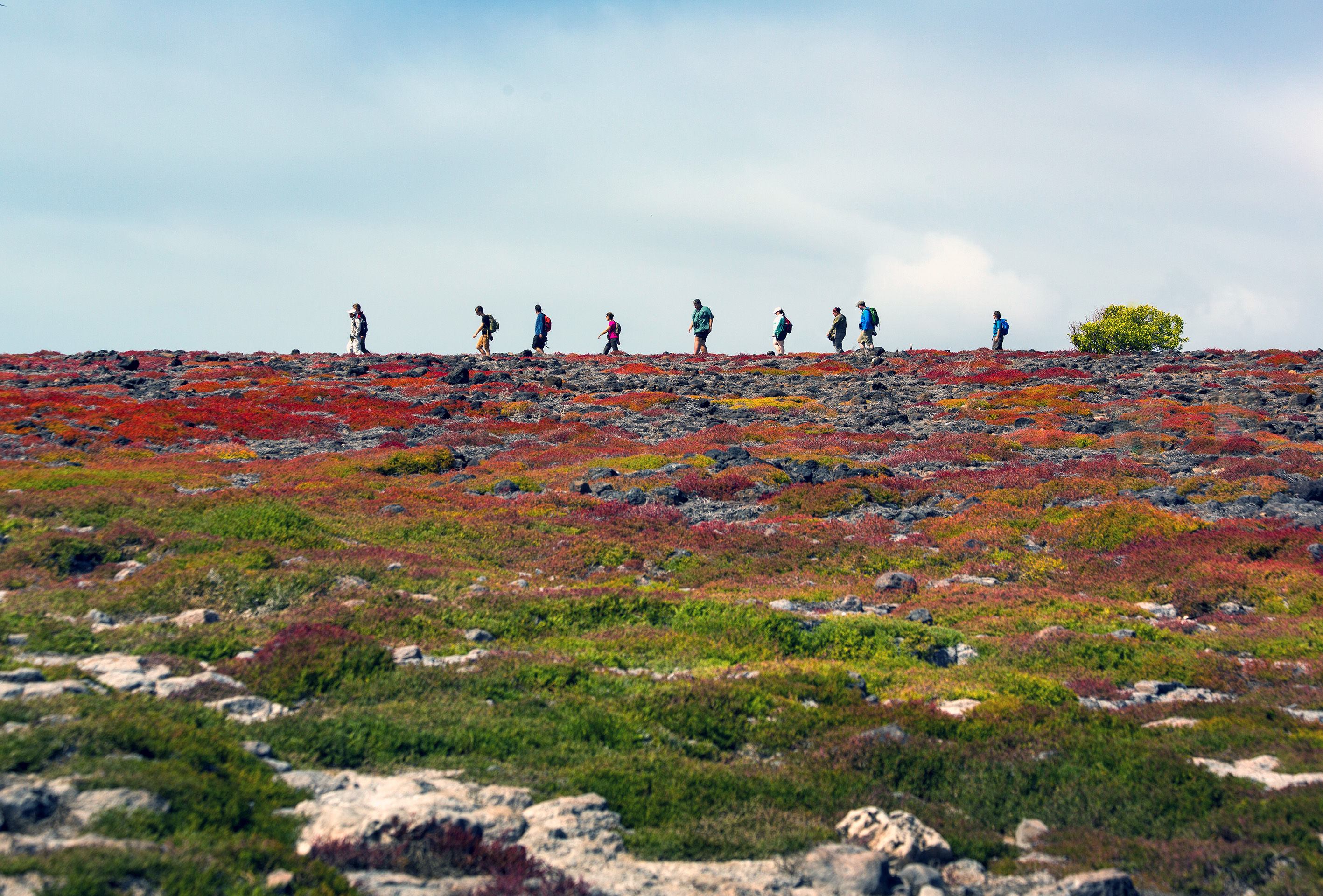 Distant hiking group