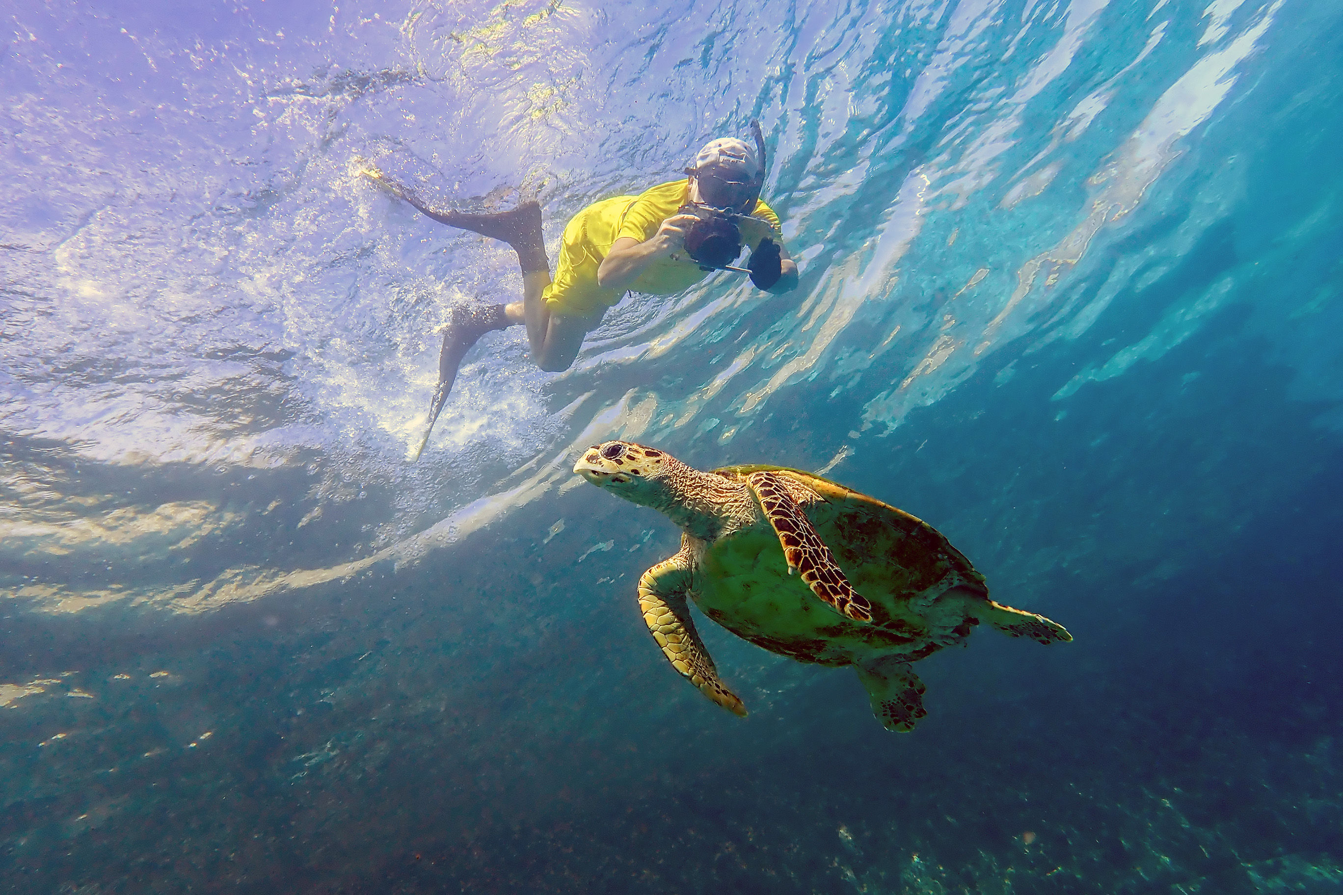 Snorkeling in the Maldives