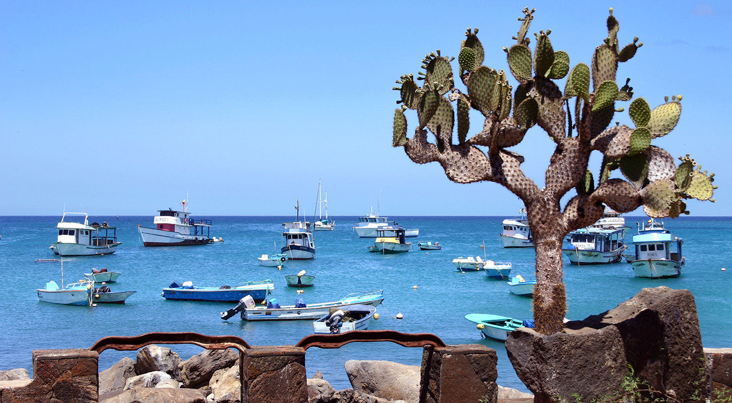 Bay in the Galapagos