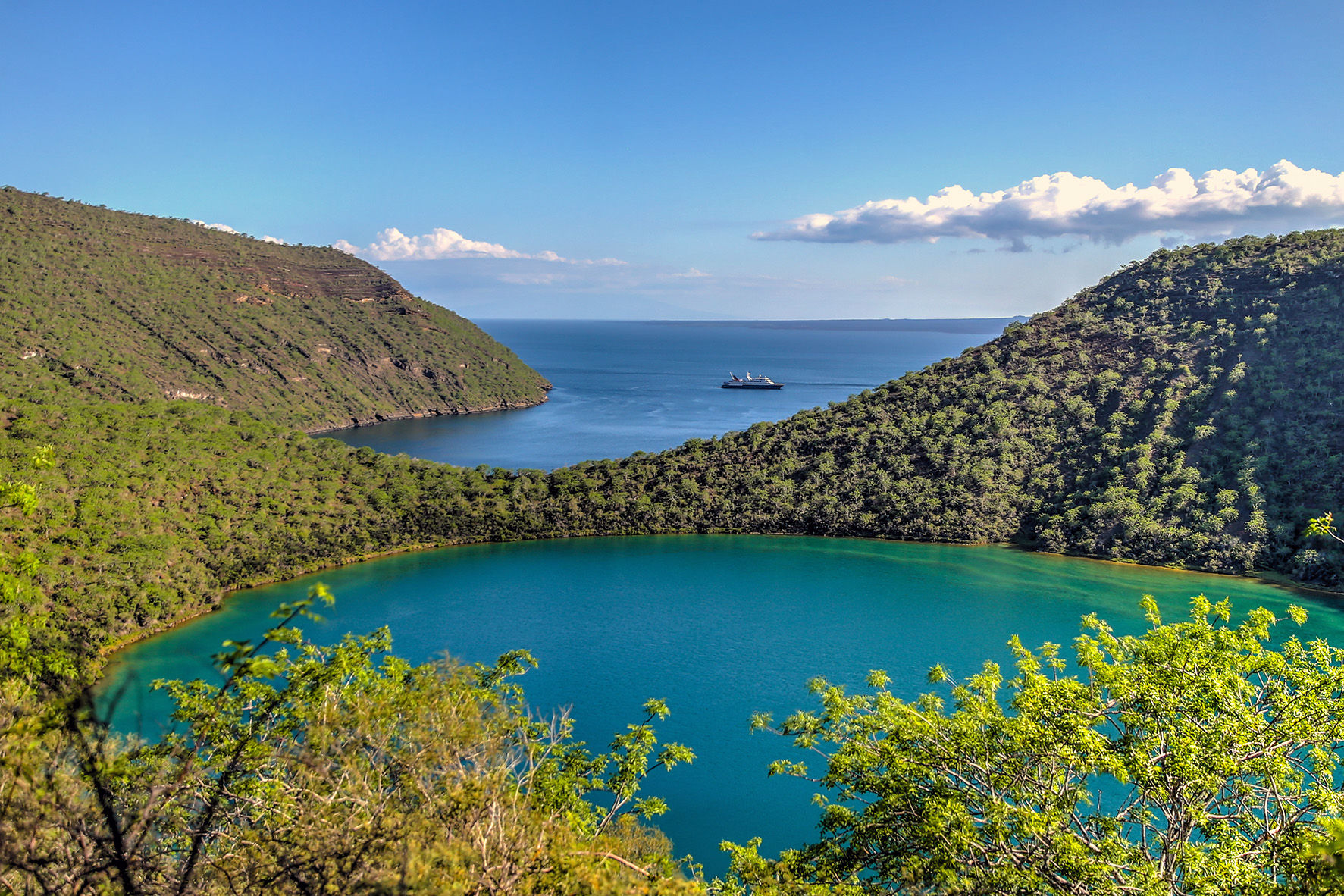 Darwin's Lake