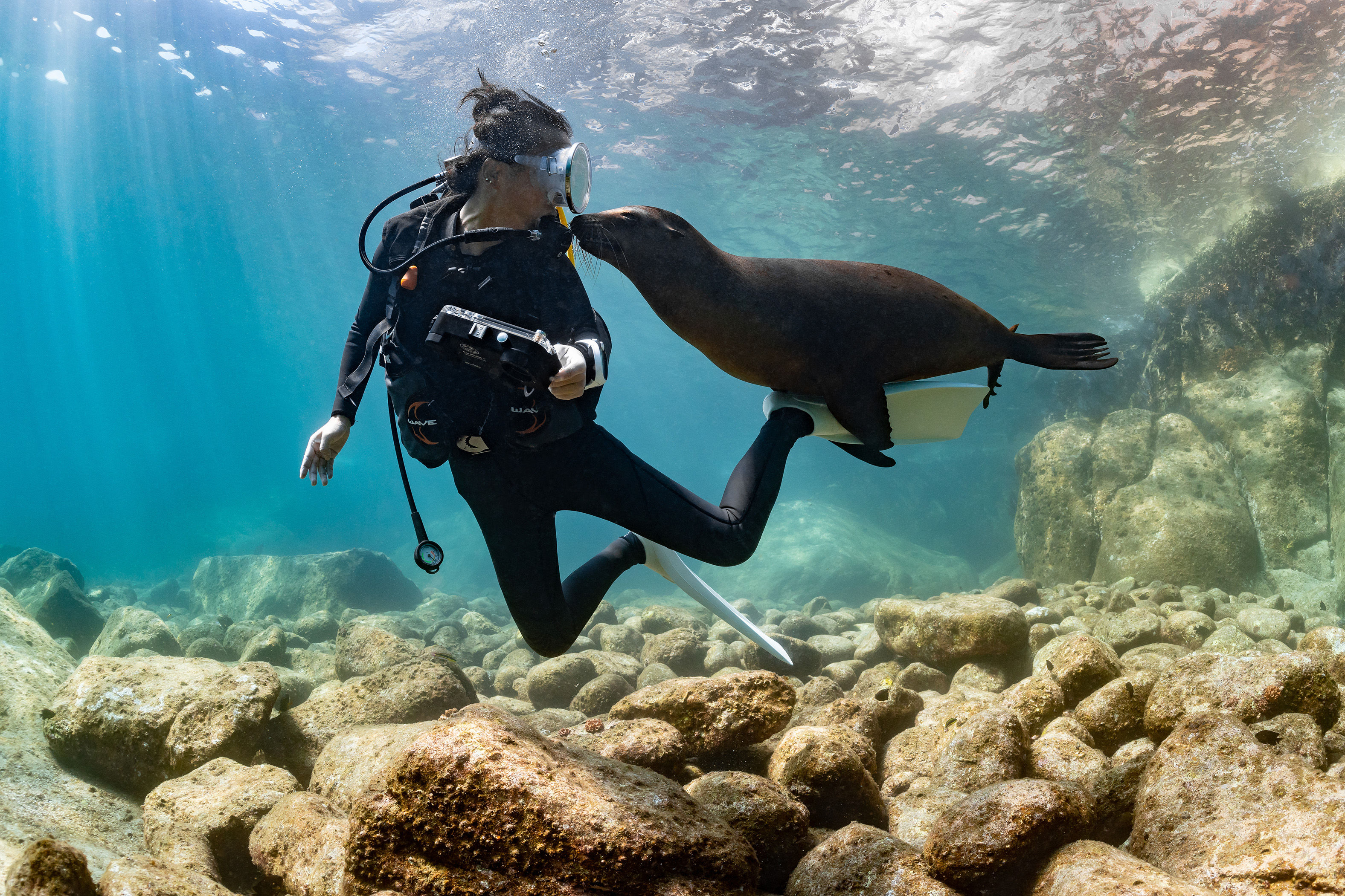 Playing with a sea lion in Baja California
