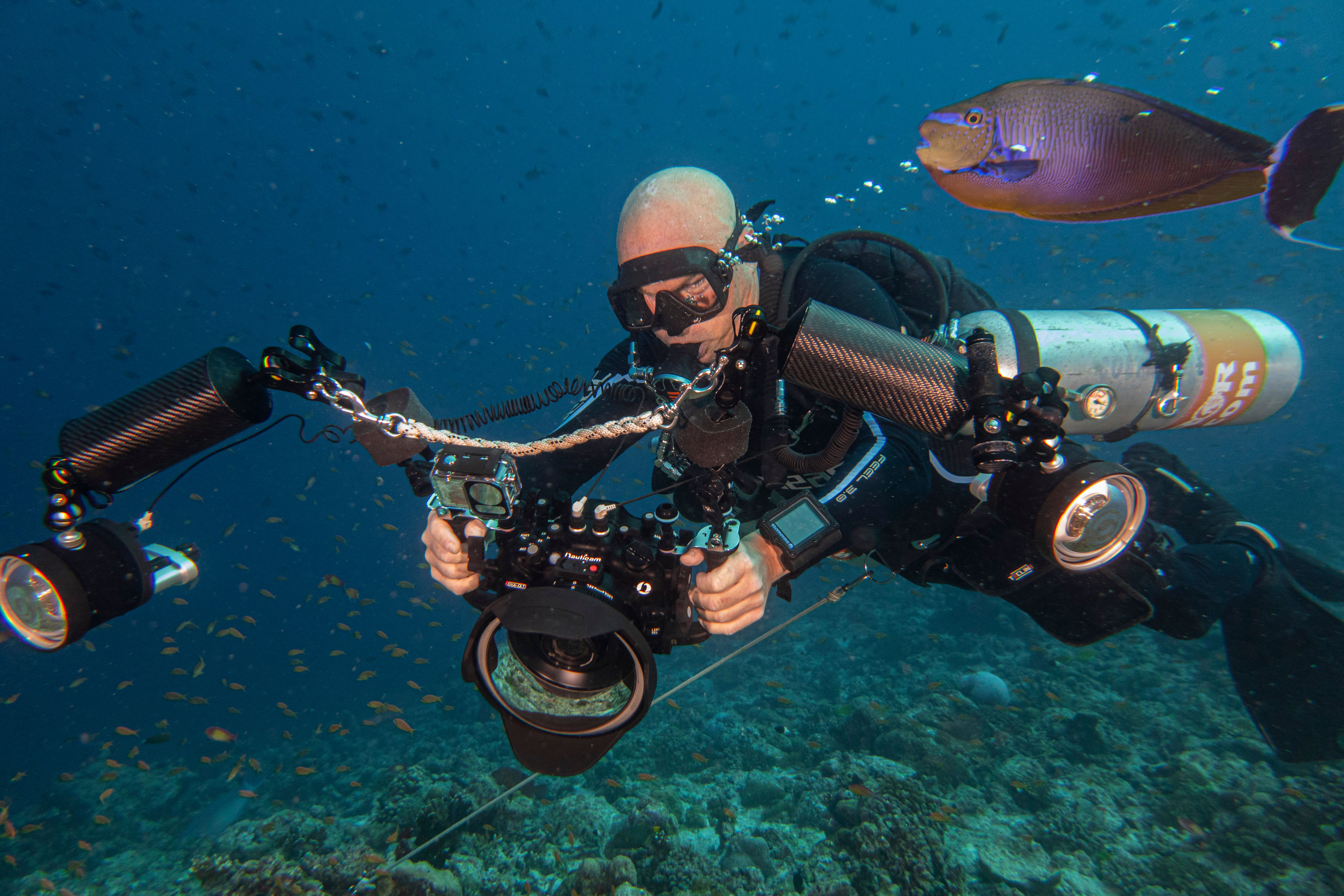 Diver hooked up in a current. Photo by Rui Feliciano