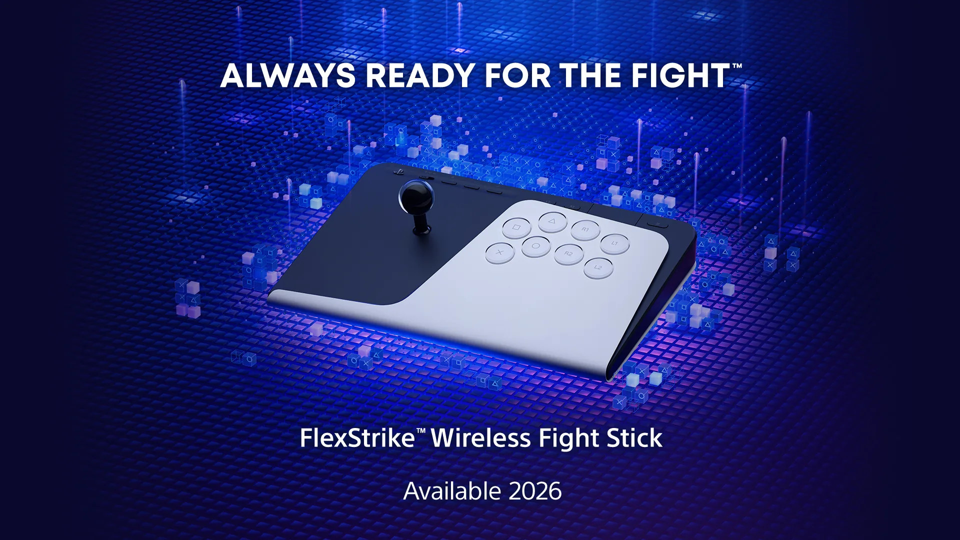 Fight Stick 