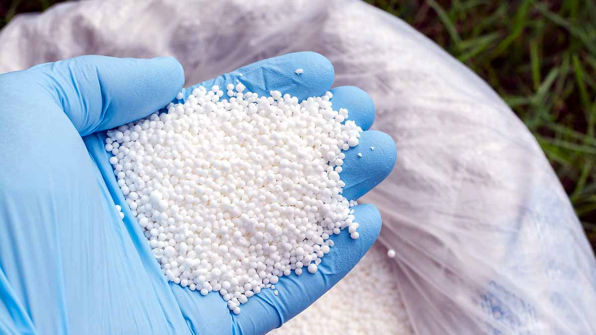 350 કિલો એમોનિયમ નાઈટ્રેટ... 100 મીટરની અંદરના વિસ્તારને તબાહ કરી શકે છે ફરીદાબાદમાં મળેલો વિસ્ફોટક (Explosive), કાશ્મીર સુધી ટેરર કનેક્શન 2 22