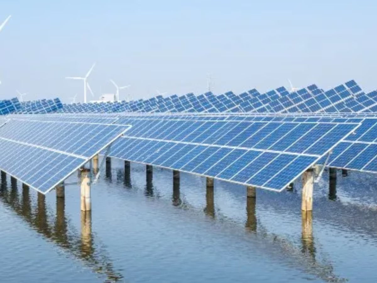 2773125 largest renewable energy park 4