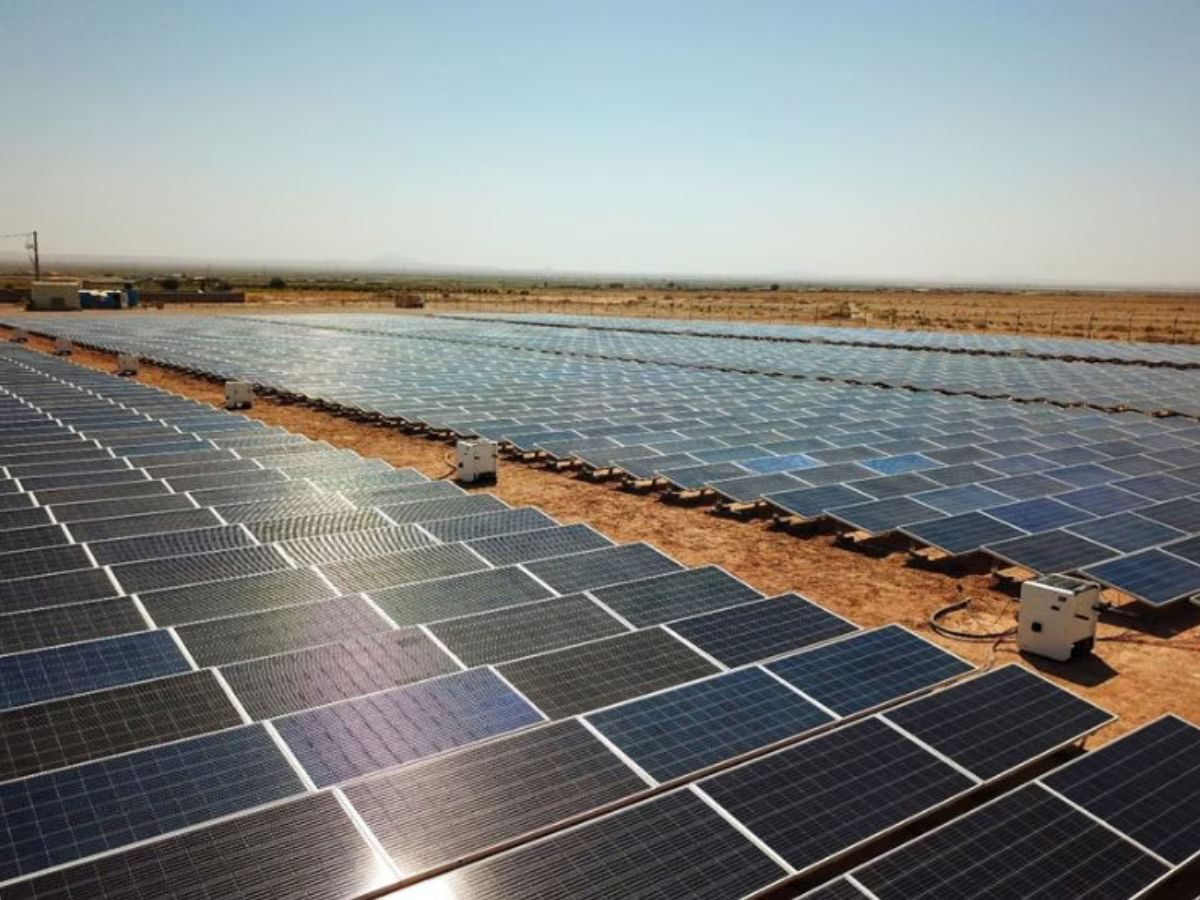 2773132 largest renewable energy park 6