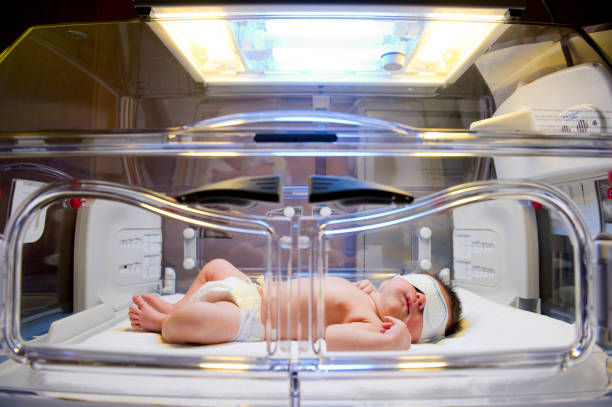 ઇન્ક્યુબેટર (Incubator) શું છે? જેમાં ઝાંસી મેડિકલ કોલેજમાં રાખવામાં આવેલા બાળકો સળગી ગયા હતા, તેમને ત્યાં શા માટે આમાં રાખવામાં આવે છે? 3 Incubator%201