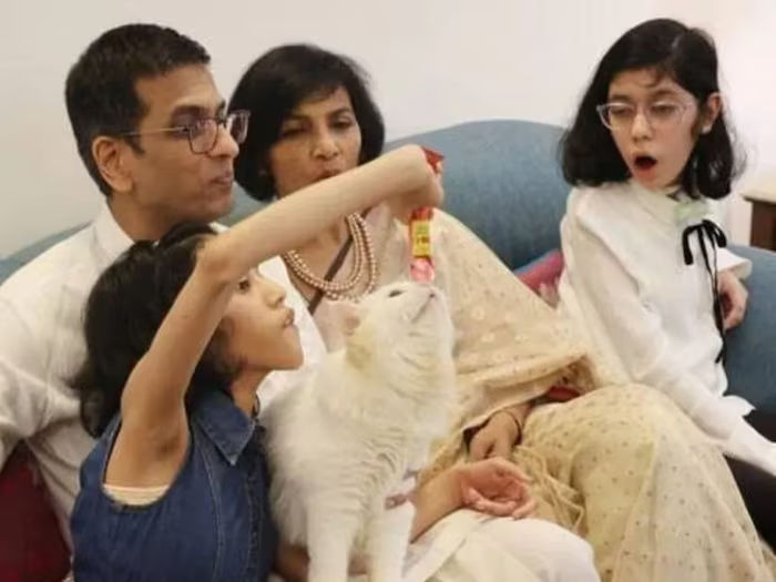 cji dy chandrachud 19 2024 03 5c955e6d72541391a7fe32b0d0b227d2