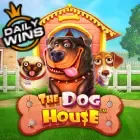 Dog House