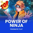 Power of Ninja