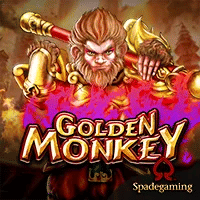 Golden Monkey