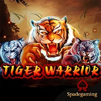 Tiger Warrior