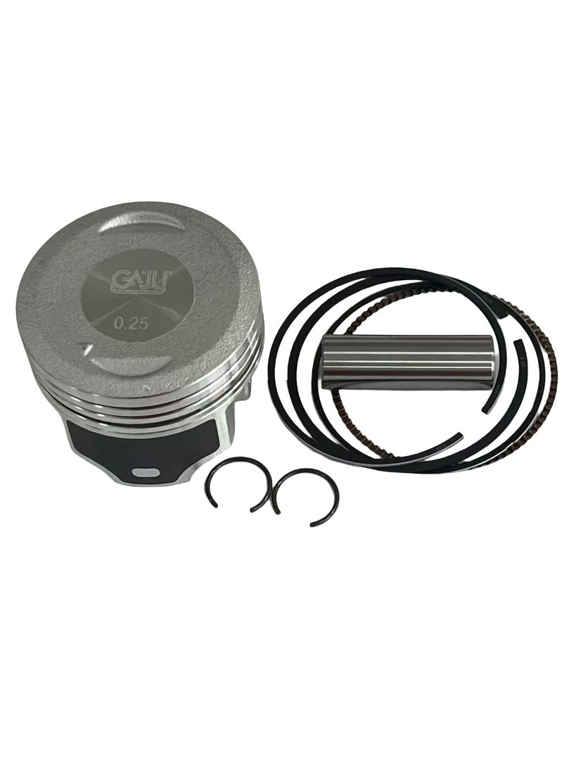 PISTON B. DISCOVER110 0.25