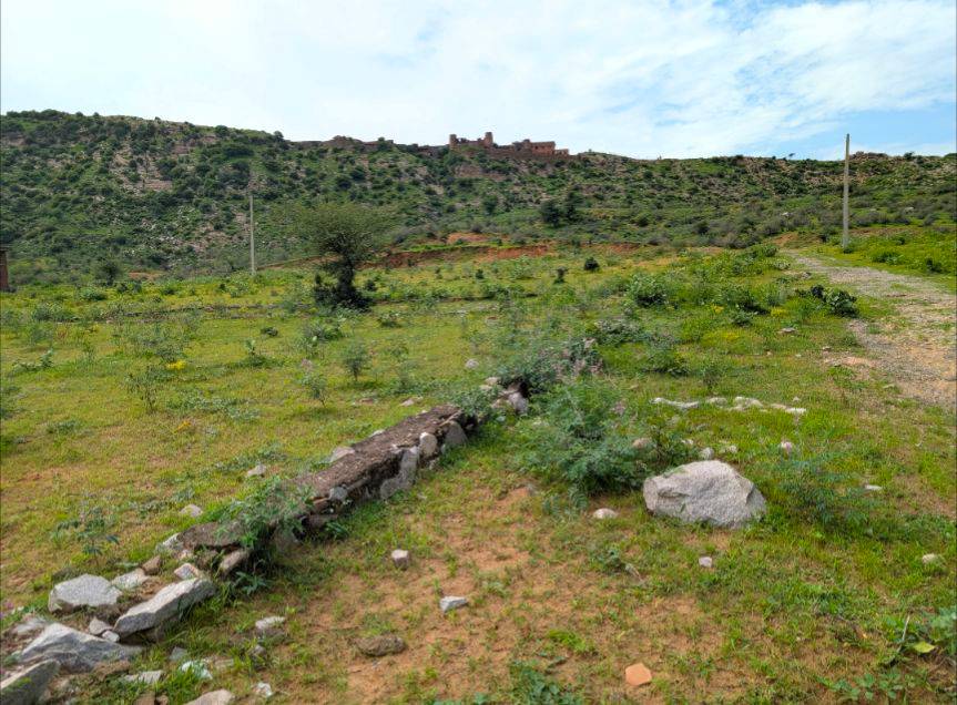 1,000 x 1,000 ft Land for farmhouse in Jaipur – Just $50K–$70K USD! 🌄