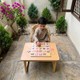 Numbers Wooden Math Puzzle Board for Kids | 1-20 Counting & Math Learning Toy - Image 5