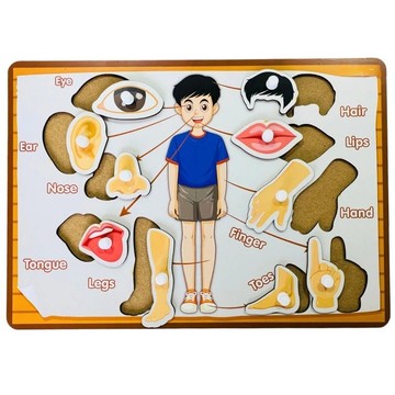 Wooden Body Parts Puzzle for Kids - Human Body Learning