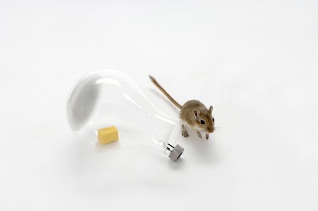 20071109-mouse-in-a-lightbulb-1-web.jpg