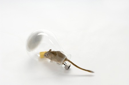 20071109-mouse-in-a-lightbulb-3-web.jpg