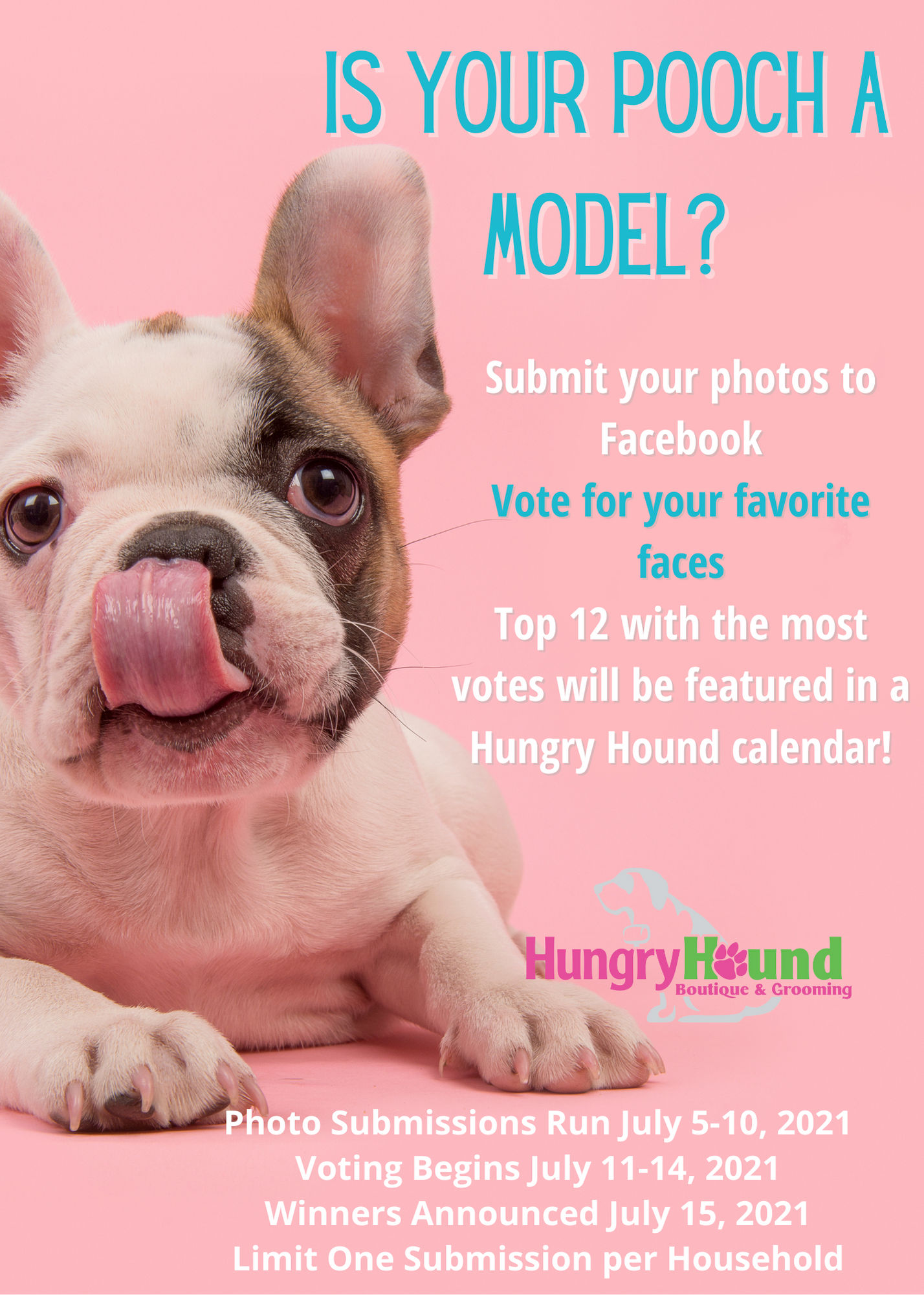 Pet Photo Contest Rules St John Indiana