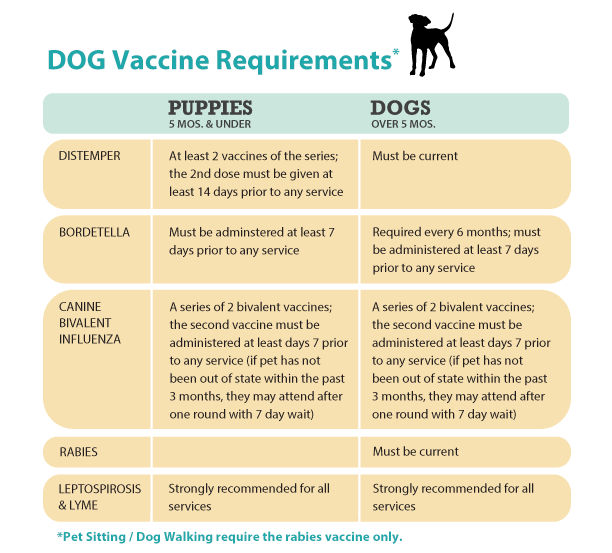 what vaccinations are required for a dog