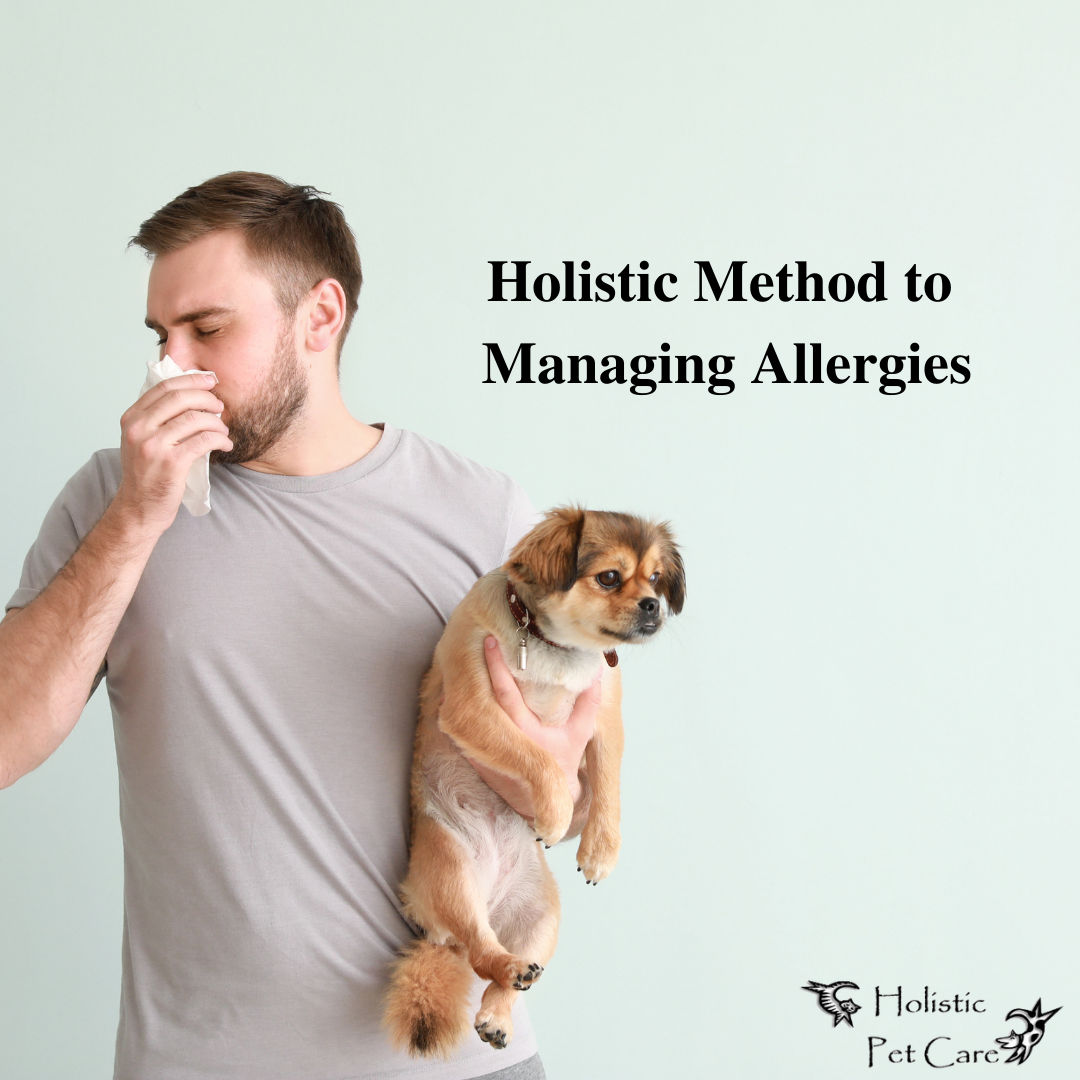 Holistic Method To Managing Allergies Whippany, New Jersey