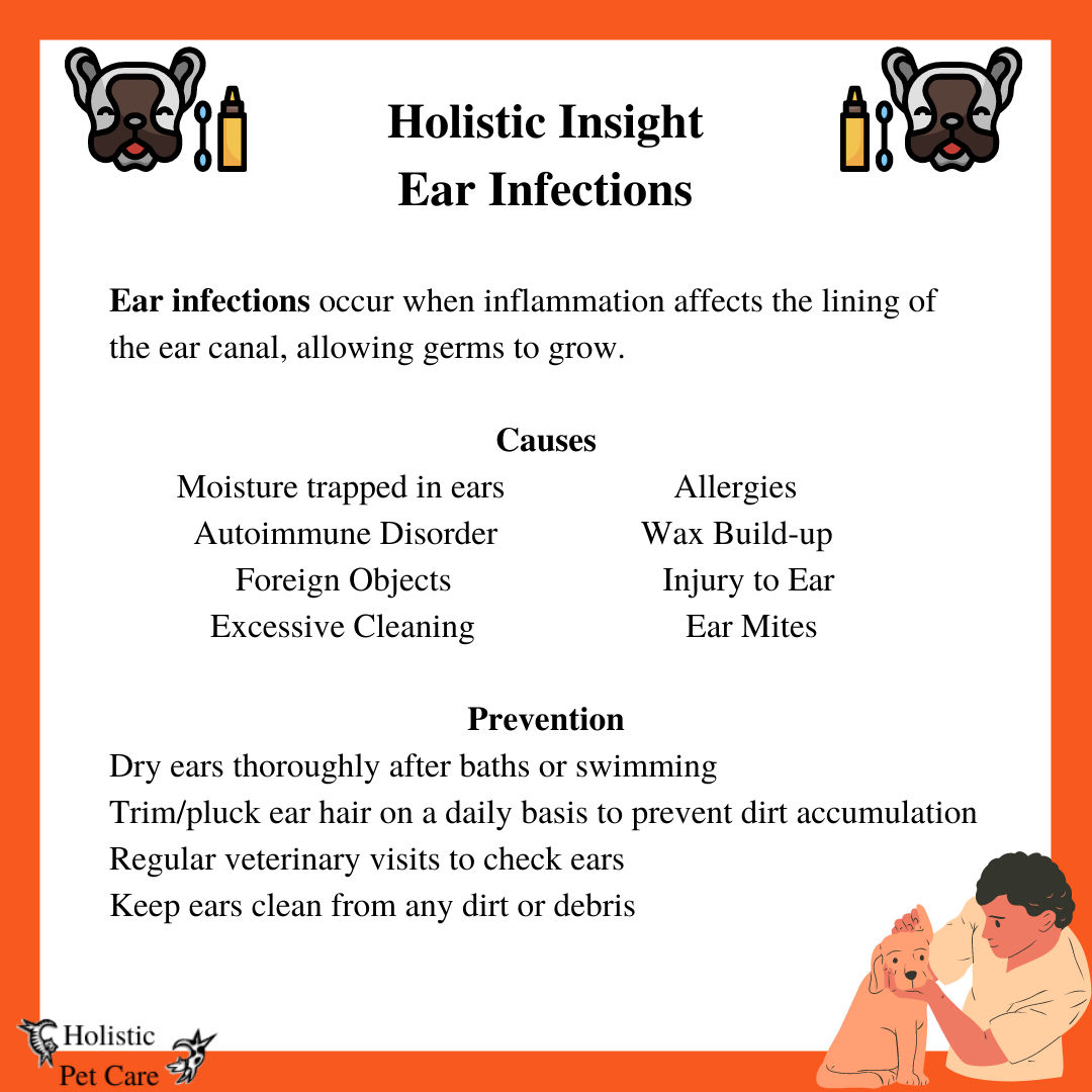 holistic-insight-ear-infections-whippany-new-jersey