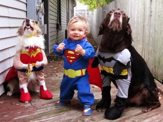 Halloween and Dog Safety: Tips for Keeping Your Furry Family Members Safe