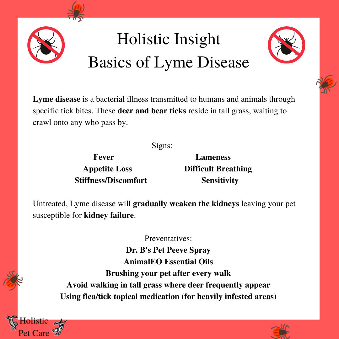 Holistic Insight Lyme Disease Whippany, New Jersey