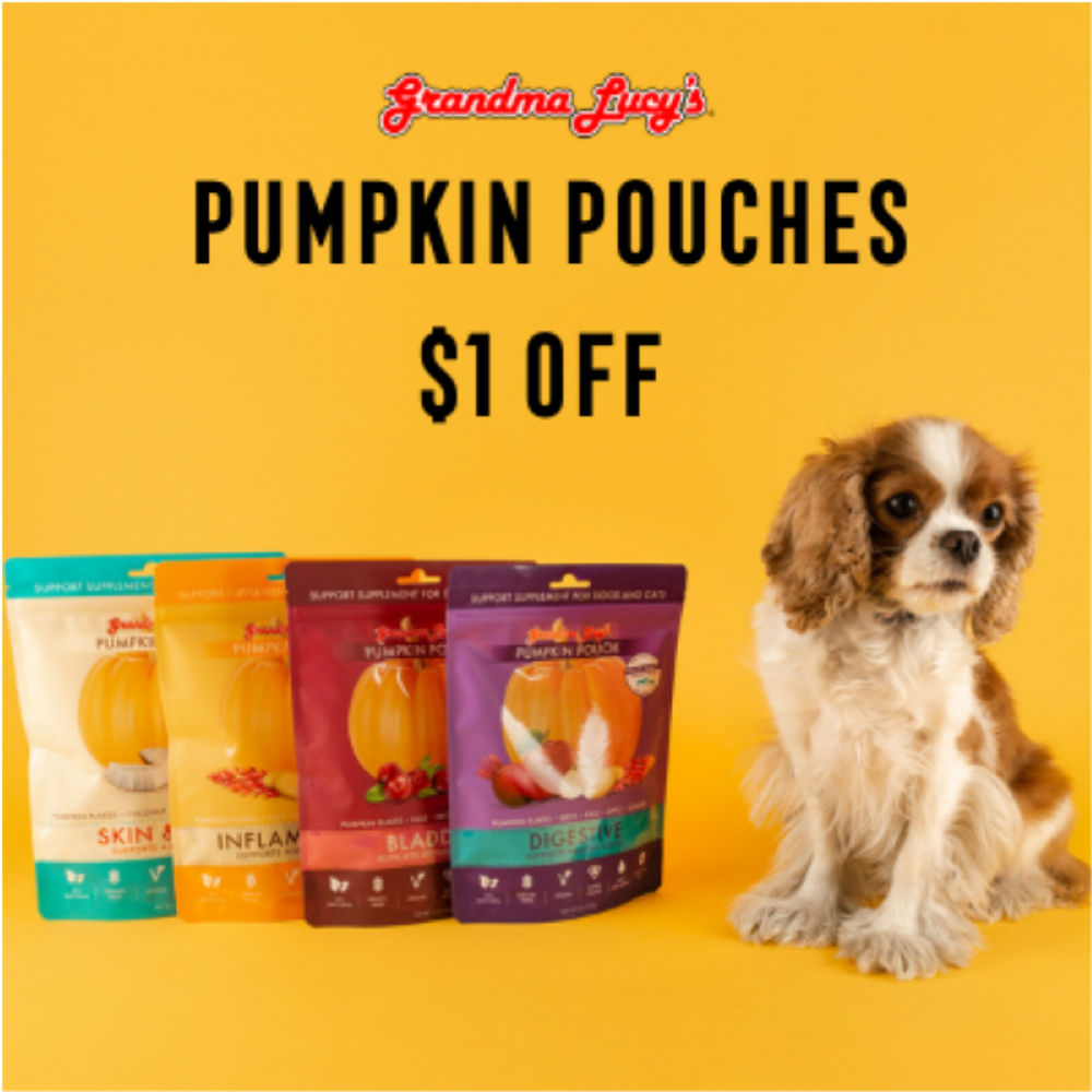Pumpkin Spice Season