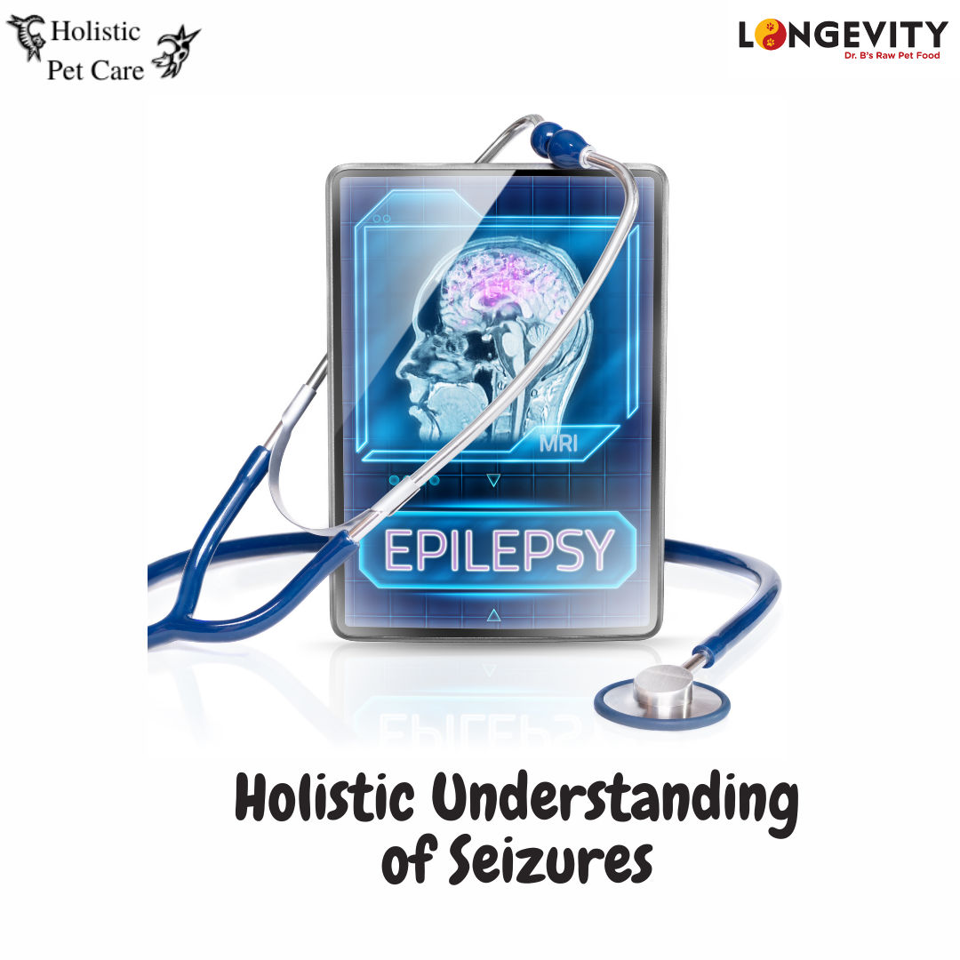 Holistic Understanding of Seizures