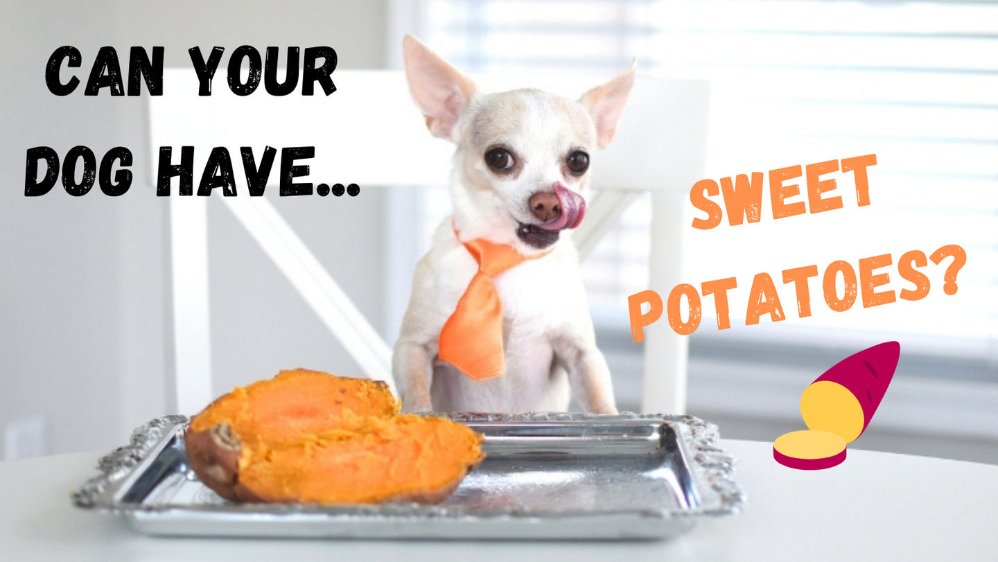 Image of blog post Sweet Potatoes for your pets?!