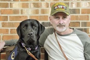 PAWS for Veterans as we honor those who serve