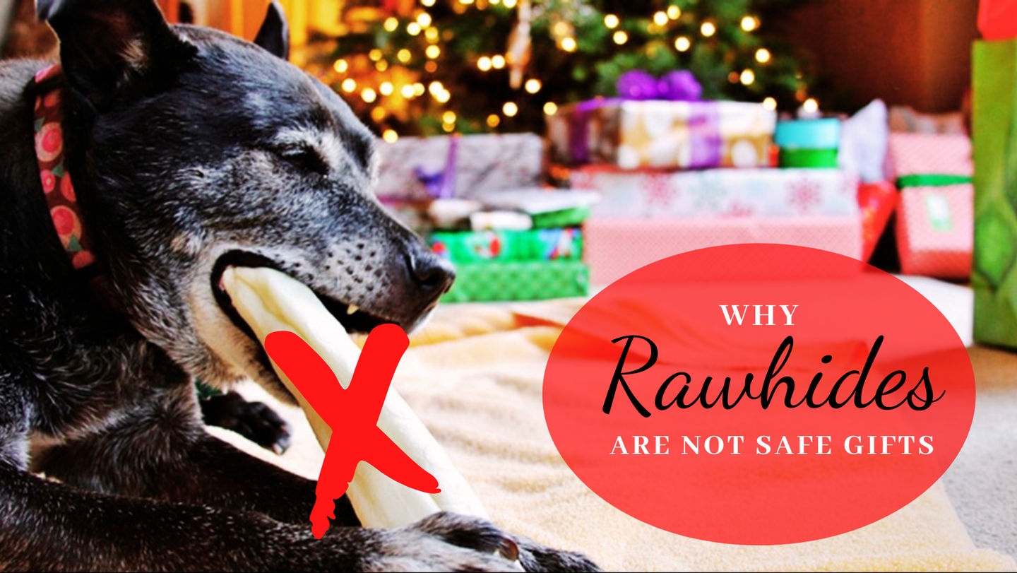Image of blog post What chews are safe to gift for the Holiday?