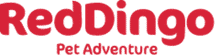 Red Dingo Petaluma California