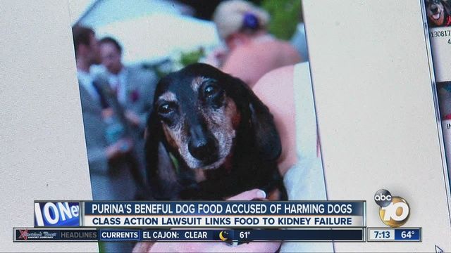 Dangerous Dog Foods