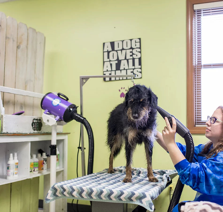 New Breed Dog Baths, perfect for the self serve dog wash business, pet  groomers, animal care industry, and home use.