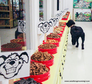 How are ingredients listed on dog food labels