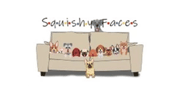 Squishy Face Salt Lake City