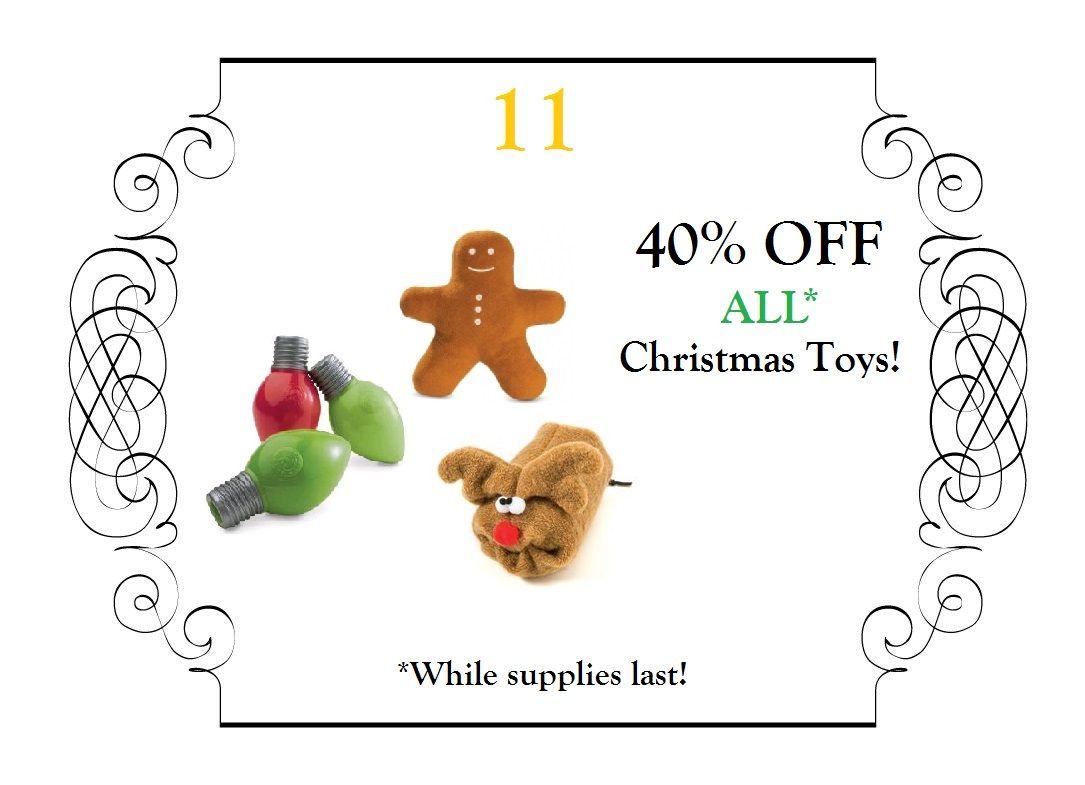 Image of blog post On the 11th Day of Christmas…!