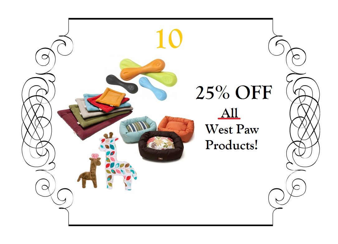 Image of blog post On the 10th Day of Christmas…!