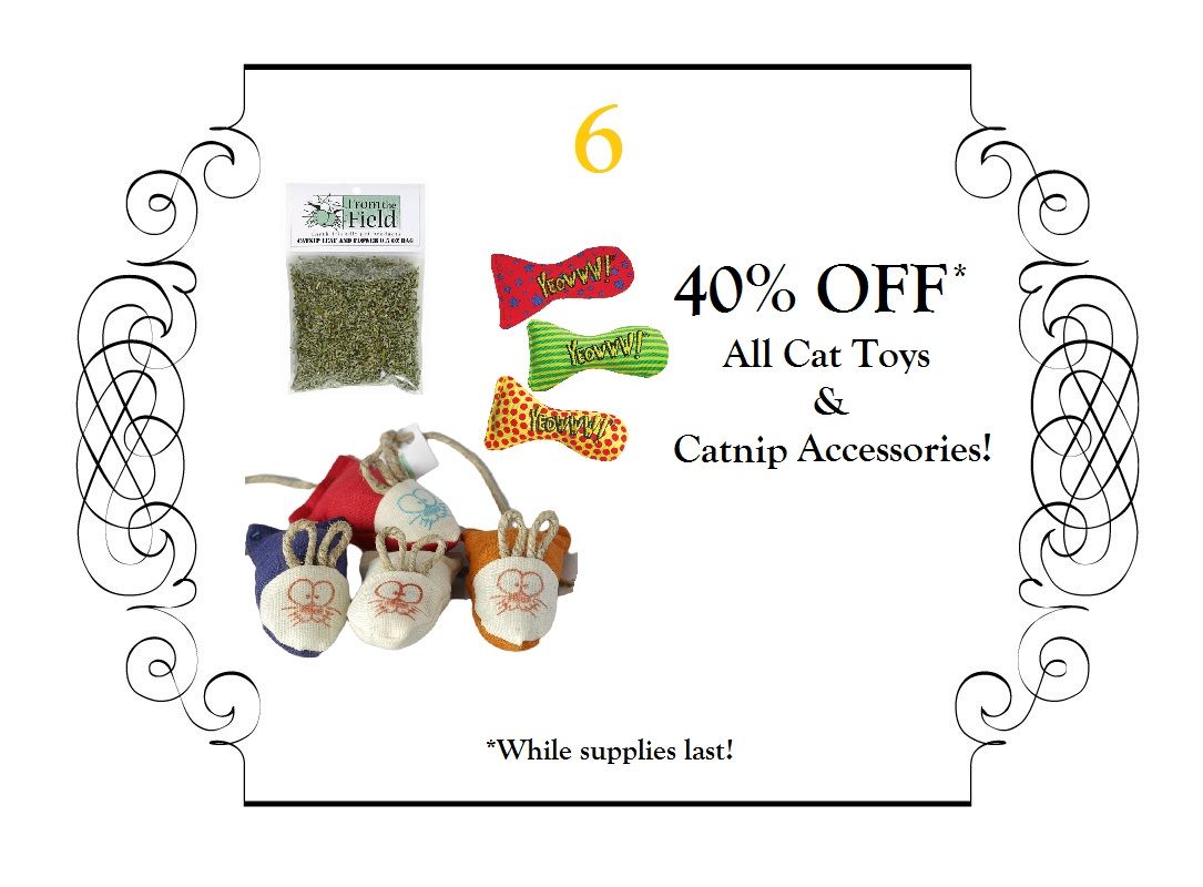 Image of blog post On the Sixth Day of Christmas…!